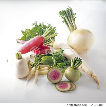 日本蘿蔔 日本蘿蔔 2320380