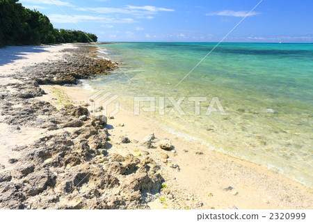 Kaiji Beach Kaiji Beach 2320999