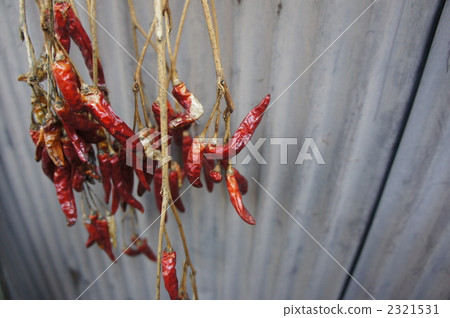 胡椒 胡椒 2321531