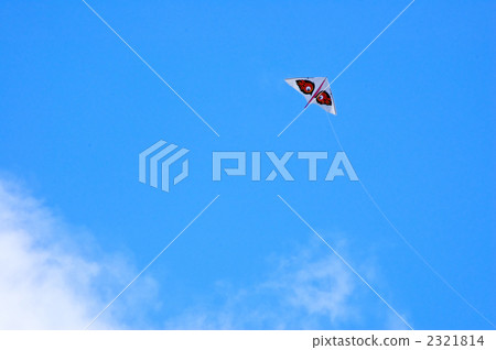 kite, kites, kite flying 2321814