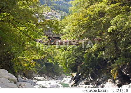 Kazura Bridge Kazura Bridge 2321828