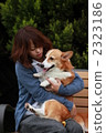 柯基犬和女兒 2323186