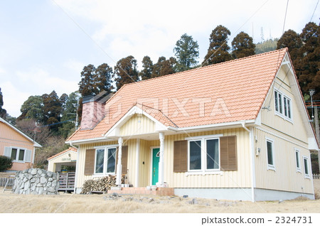 House with a fireplace House with a fireplace 2324731