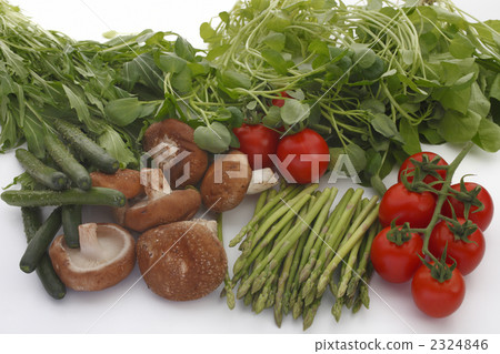 Vegetables 2324846