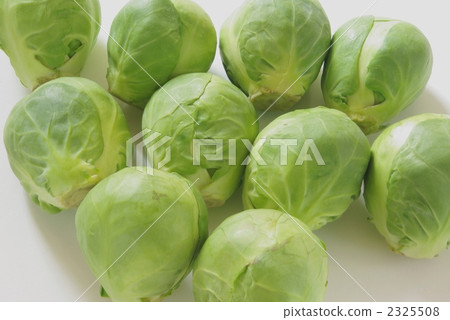 球芽甘藍 2325508