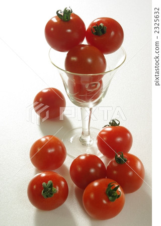 小西紅柿 2325632