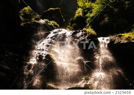 Splashes 2325650