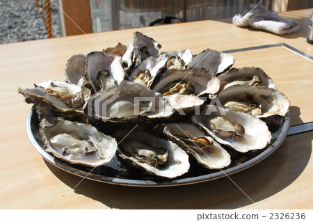Grilled oysters Grilled oysters 2326236