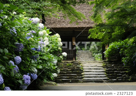 amidaji temple, yamaguchi prefecture, temple gate 2327123
