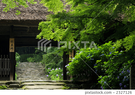 amidaji temple, temple, temples 2327126