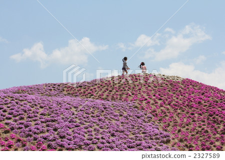 Flower garden Kaori no Sato Flower garden Kaori no Sato 2327589