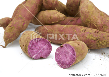 Potato 2327601
