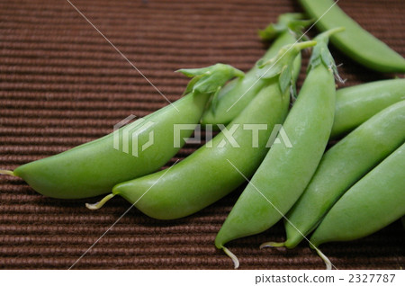 豌豆 豌豆 2327787