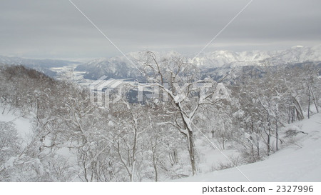 Fukui ken Ski Jam Katsuyama峰會 2327996