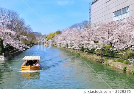 京都岡崎憎水現代藝術博物館 京都岡崎憎水現代藝術博物館 2329275