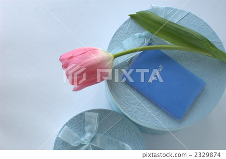 鬱金香和禮物 2329874