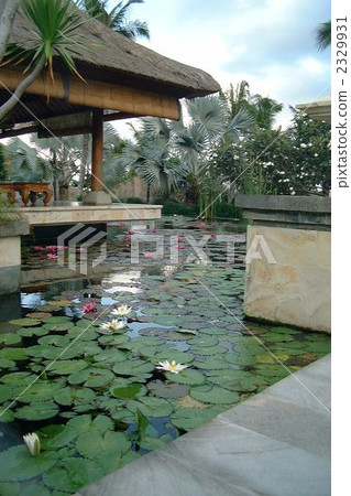 巴厘島麗思卡爾頓酒店 巴厘島麗思卡爾頓酒店 2329931