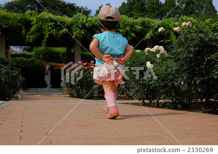 金代植物園1 2330269