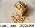 黃豆 大豆 豆 2330806