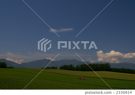 rural scene, rural landscape, summer clouds 2330914