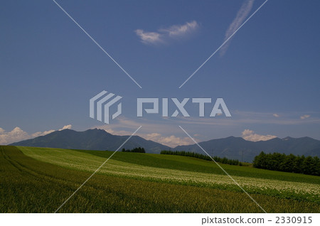 hill, rural districts, field 2330915