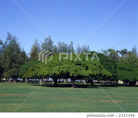 84558卡皮歐拉尼公園瓦胡島夏威夷州 2331346