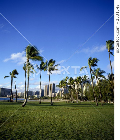 84565卡皮歐拉尼公園瓦胡島夏威夷州 2331348