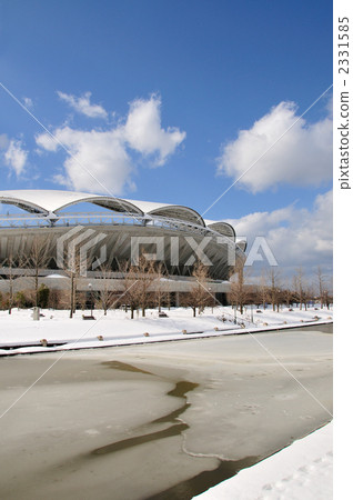 Big Swan snow scene 2331585