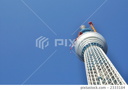 天空樹 天空樹 2333184