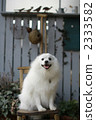 Sit with a smile 2333582