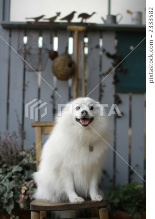 Sit with a smile Sit with a smile 2333582