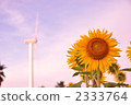 Sunflower and wind power generation 2333764