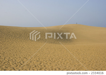 鳥取沙丘 鳥取沙丘 2334016
