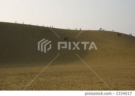 鳥取沙丘 2334017