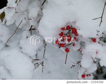 雪和南部的天空 2334192