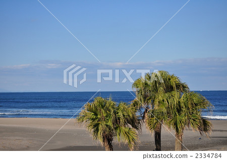 日南海岸沙灘 2334784