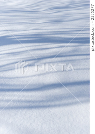 Snow cover and tree shadow 2335277