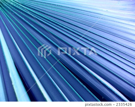 扇形 底圖 背景 2335426