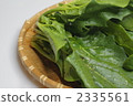 spinach, vegetables, vegetable 2335561
