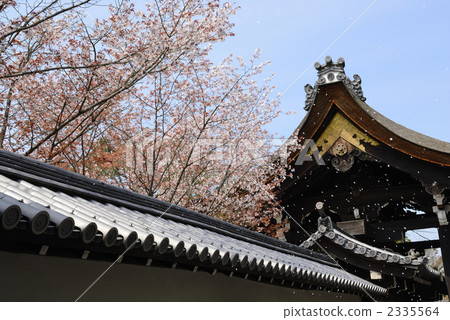 Temple of Nanzenji Temple gate and cherry blossoms Temple of Nanzenji Temple gate and cherry blossoms 2335564