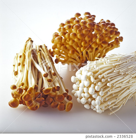 Enoki mushroom Enoki mushroom 2336528