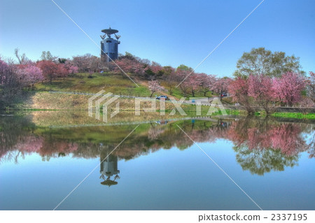Observatory and cherry tree reflected in Bibai pond 01 2337195