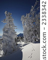 Blue sky and snowy field, rafter and rabbit footprint 2338342