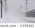 Snowstorm 2338462