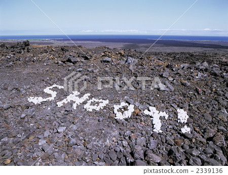 夏威夷海島熔岩粗礪的大陽台 2339136