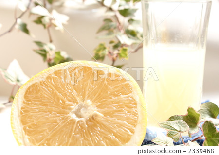 grapefruit grapefruit 2339468