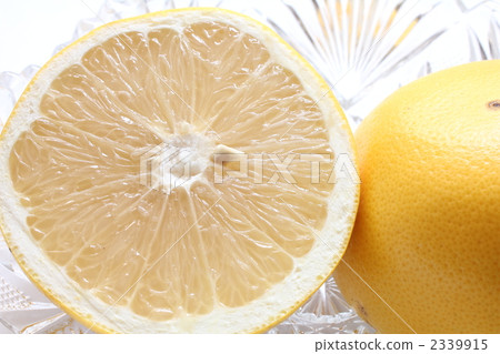 Refreshing grapefruit 2339915