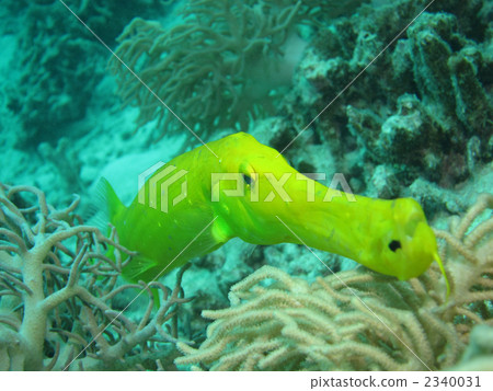 Herayagara Herayagara 2340031