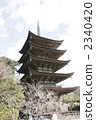 Rurikoji 2340420
