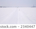 雪域 2340447